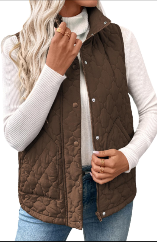 Amazon-Lightweight Quilted Vest (Several Colors)